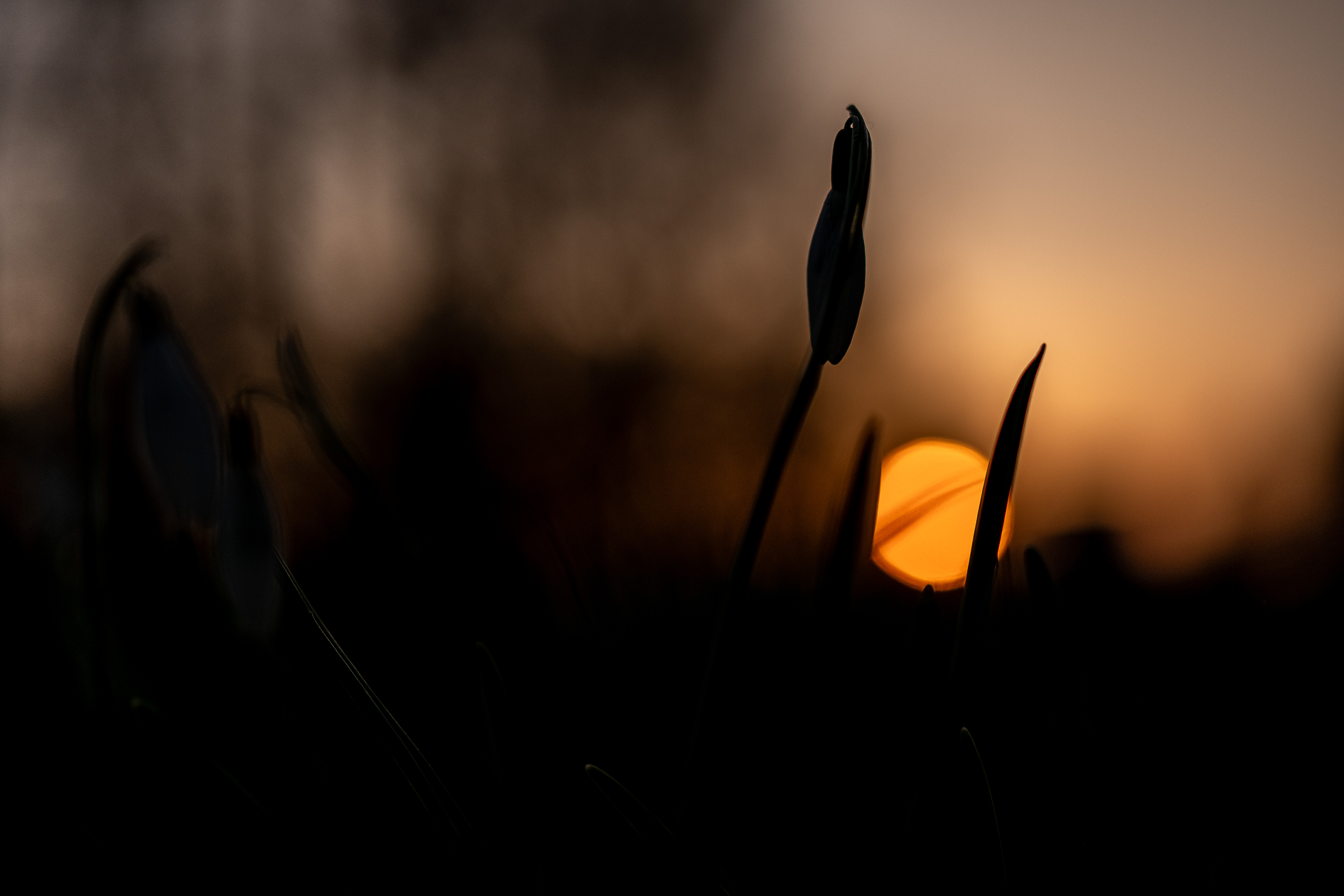 2024 03 08  xt 5   8733 2